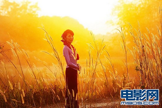 杨紫琼